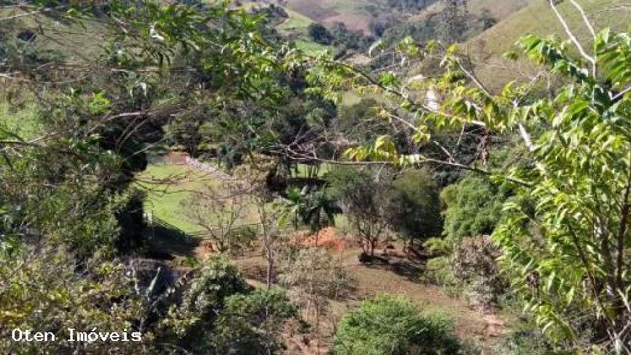 Sítio, 3 quartos, 4 hectares - Foto 4