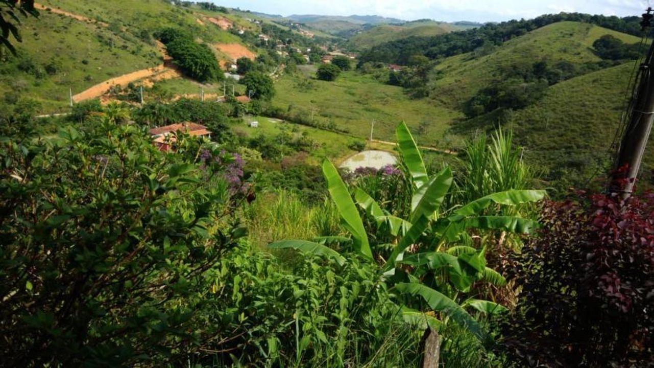 Chácara, 5 quartos, 3 hectares - Foto 3