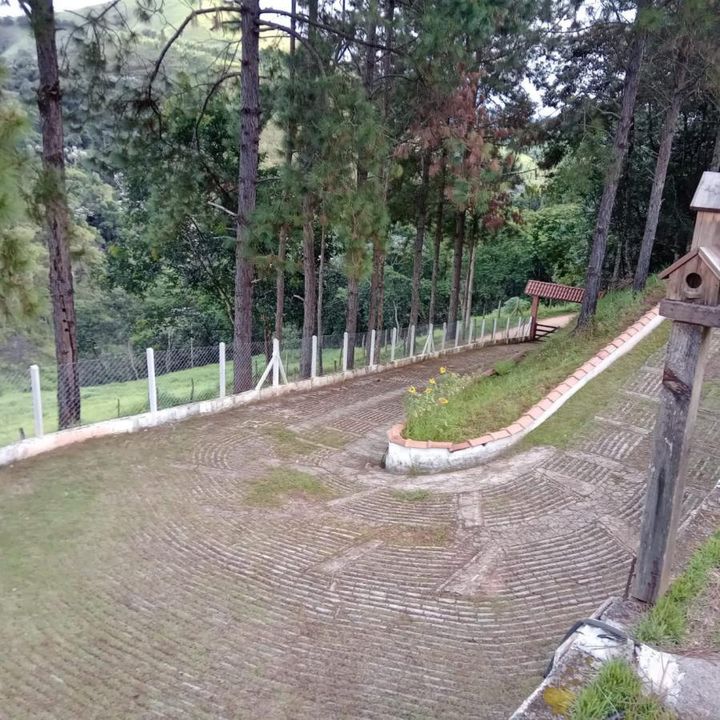 Chácara, 2 hectares - Foto 3