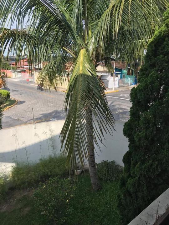 Casa, 3 quartos, 321 m² - Foto 31