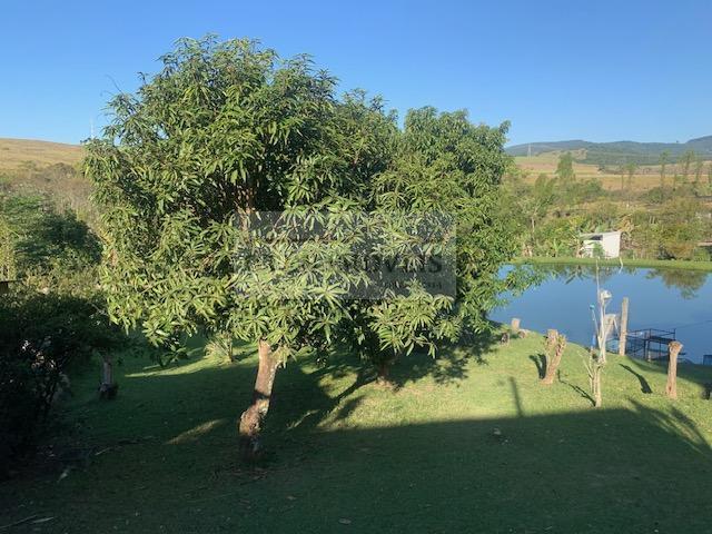 Sítio, 1 hectares - Foto 1