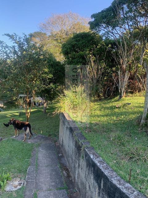 Sítio, 1 hectares - Foto 12