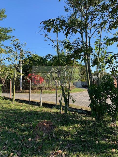 Sítio, 1 hectares - Foto 13