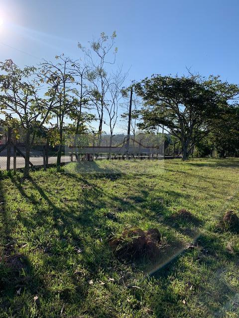 Sítio, 1 hectares - Foto 9