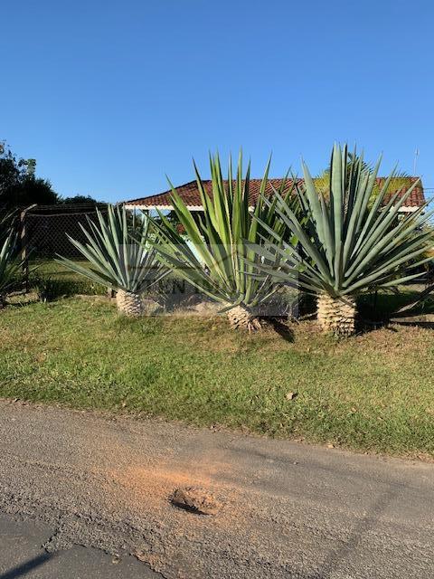 Sítio, 1 hectares - Foto 18