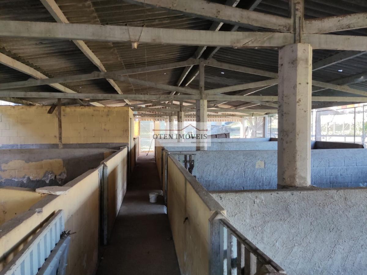 Fazenda, 80 hectares - Foto 23