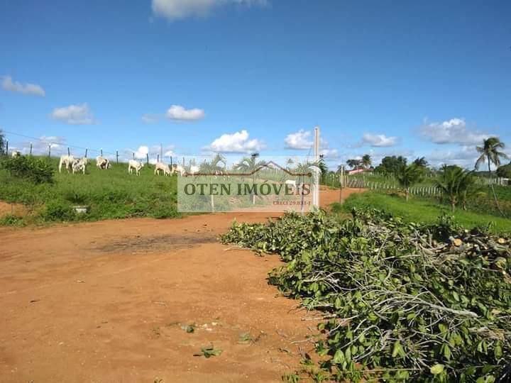 Terreno, 2 hectares - Foto 3