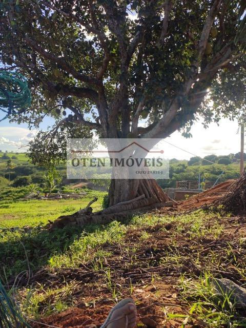 Terreno, 2 hectares - Foto 9