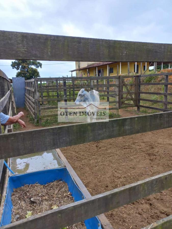 Terreno, 2 hectares - Foto 7