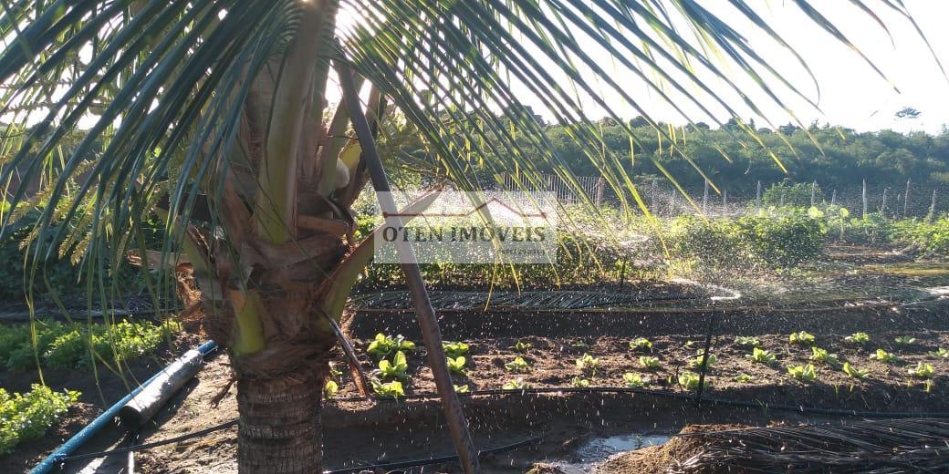 Terreno, 2 hectares - Foto 5