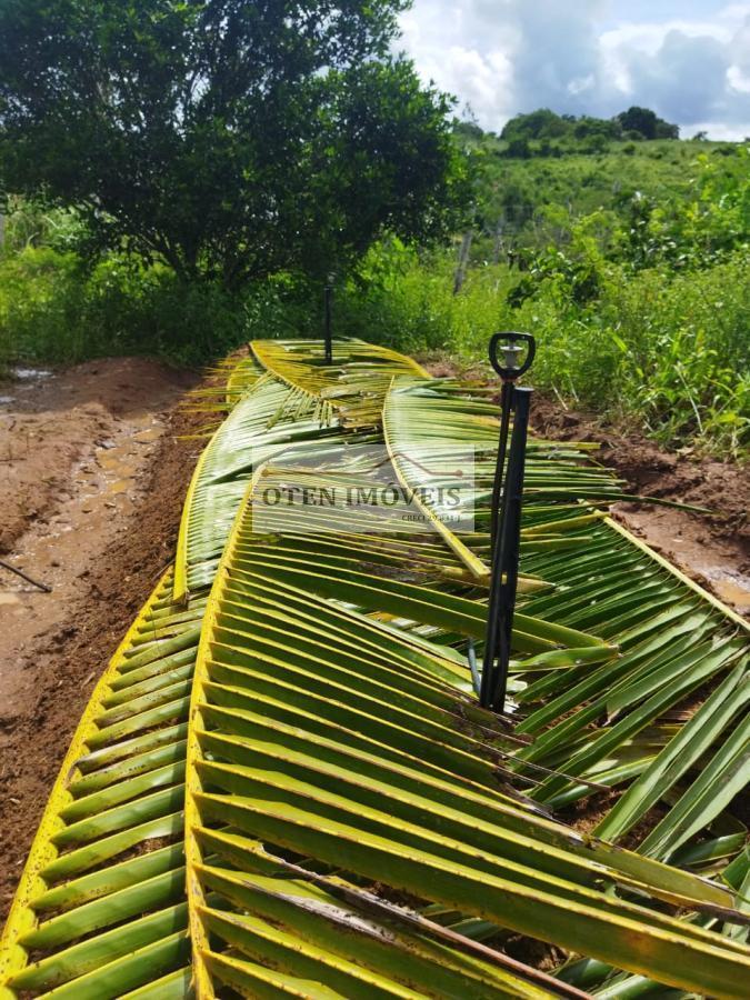 Terreno, 2 hectares - Foto 16