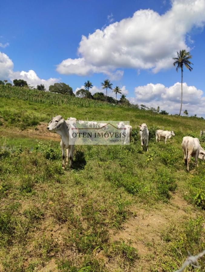 Terreno, 2 hectares - Foto 27