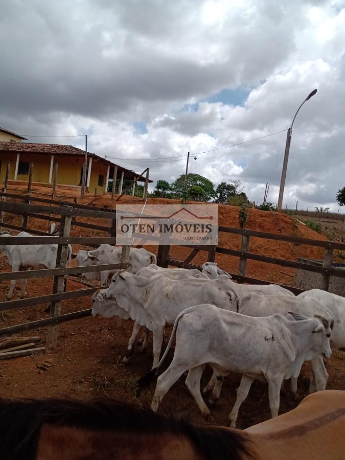 Terreno, 2 hectares - Foto 24