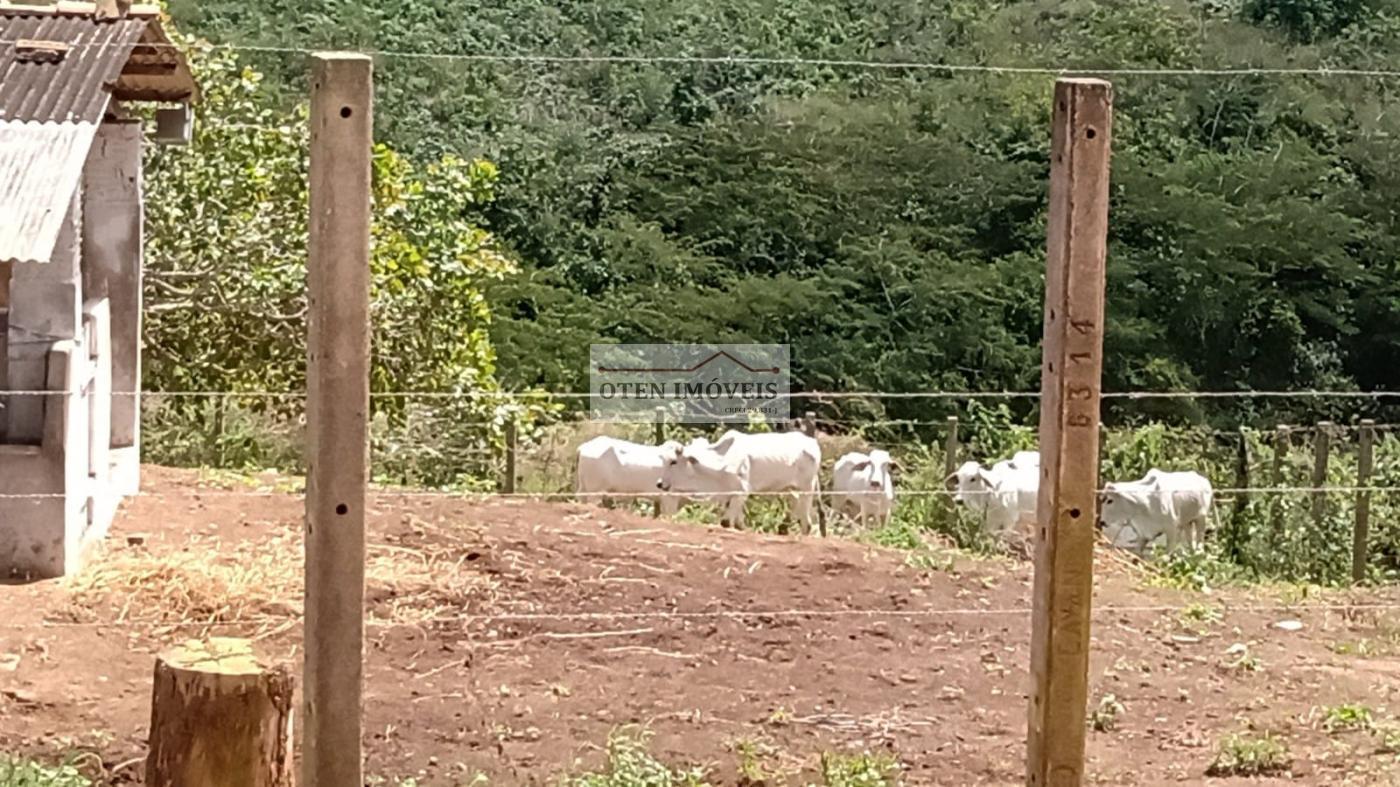 Terreno, 2 hectares - Foto 25