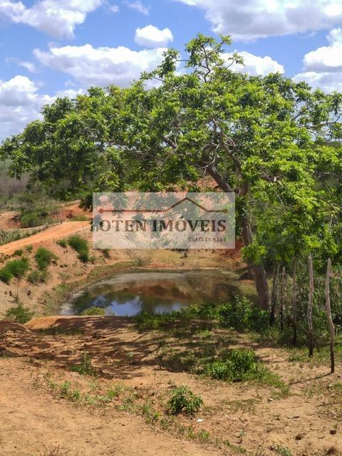 Terreno, 2 hectares - Foto 33