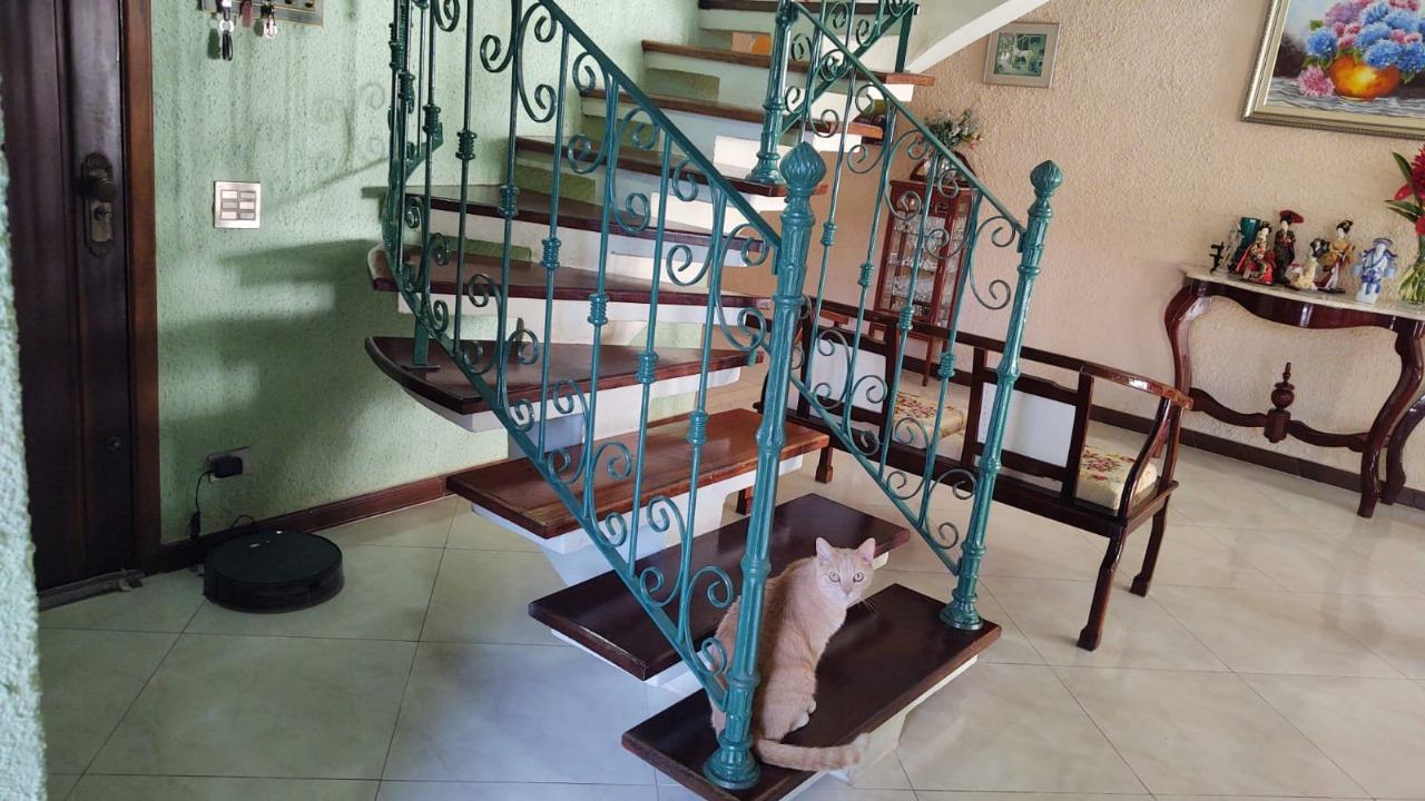 Casa, 5 quartos, 335 m² - Foto 8