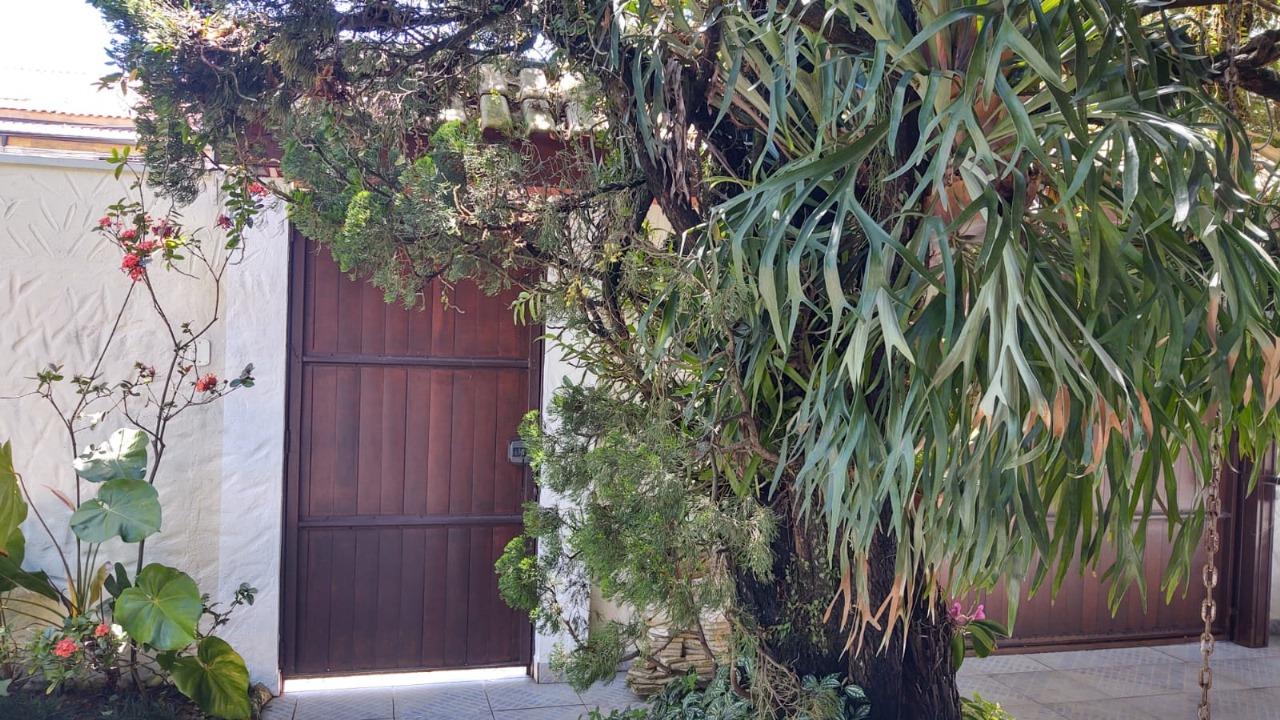 Casa, 5 quartos, 335 m² - Foto 36