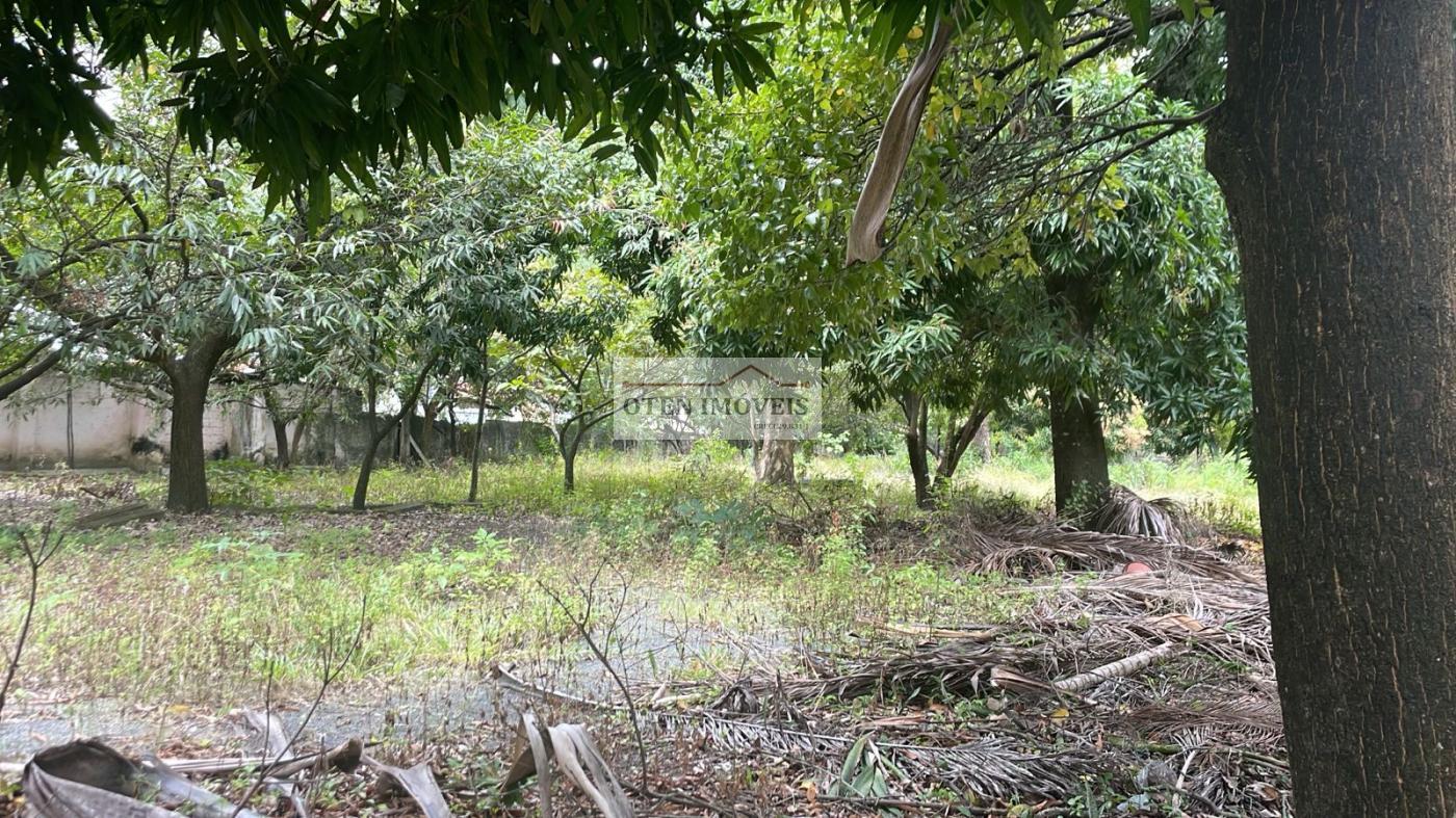 Terreno, 2500 m² - Foto 6