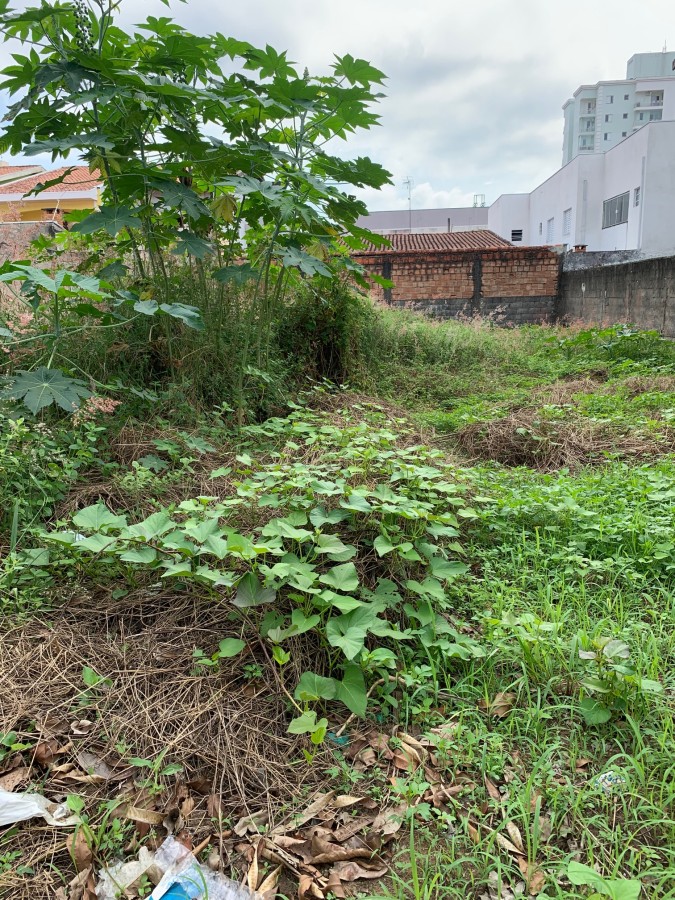 Terreno, 300 m² - Foto 2