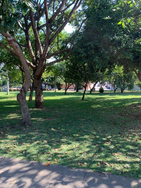 Casa, 3 quartos, 121 m² - Foto 46