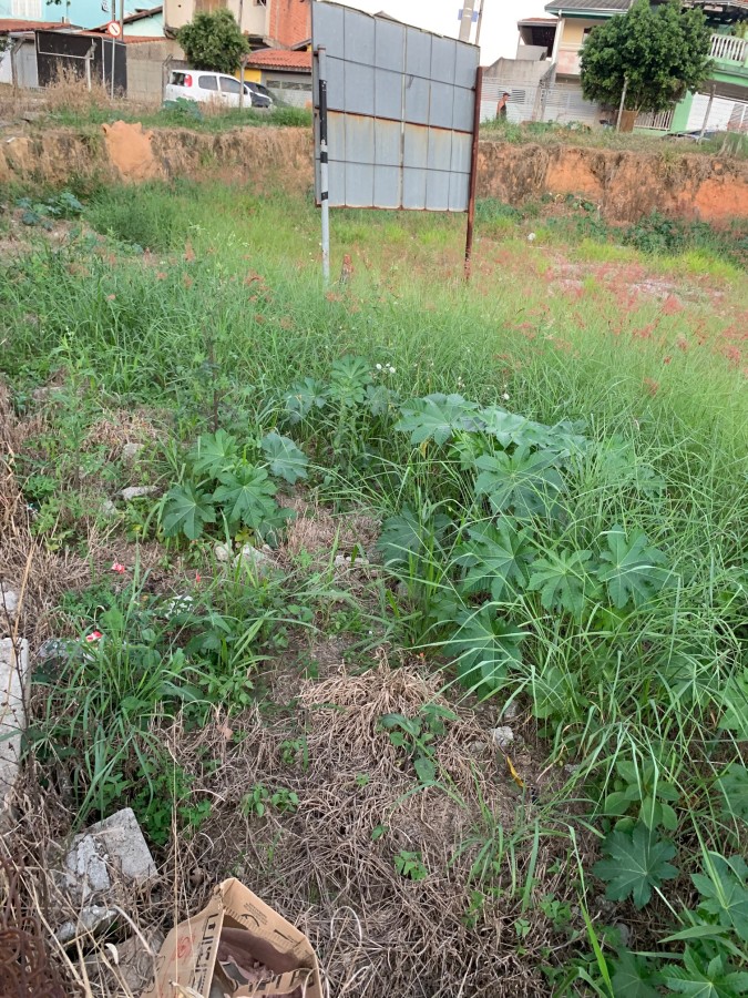 Terreno, 457 m² - Foto 5