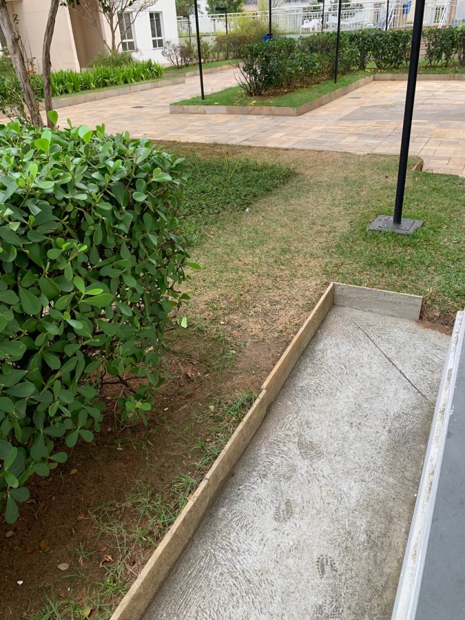 Apartamento, 3 quartos - Foto 32