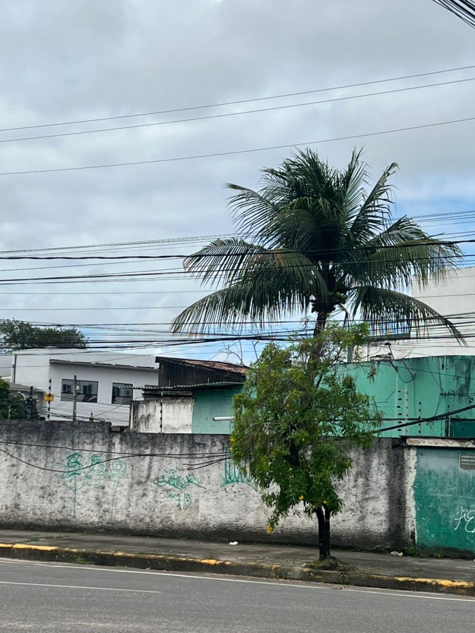 Terreno, 1299 m² - Foto 3