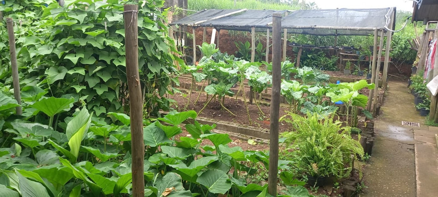 Chácara, 4 quartos - Foto 14