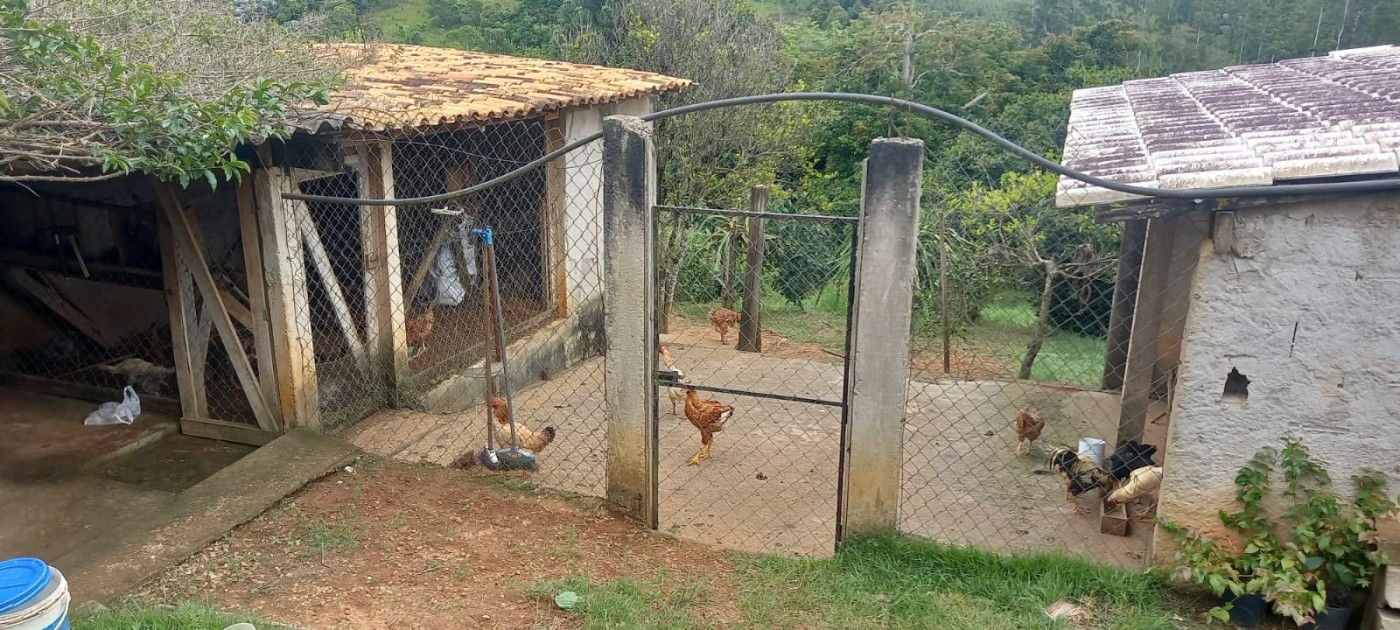 Chácara, 4 quartos - Foto 13