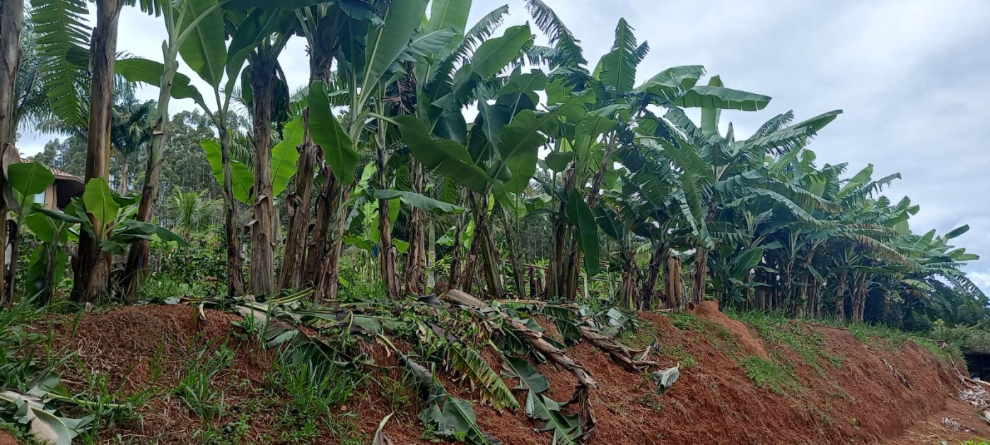 Chácara, 4 quartos - Foto 21