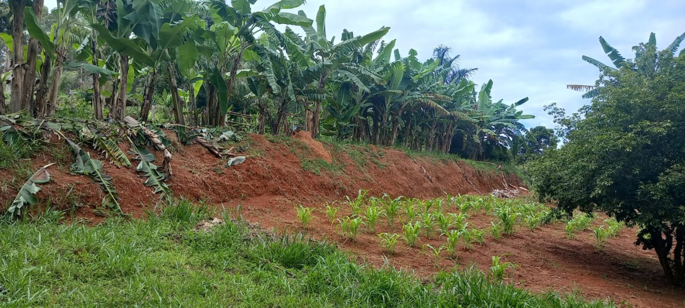 Chácara, 4 quartos - Foto 22