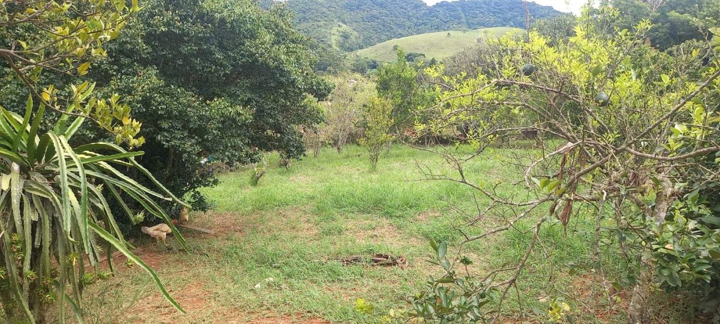 Chácara, 4 quartos - Foto 20