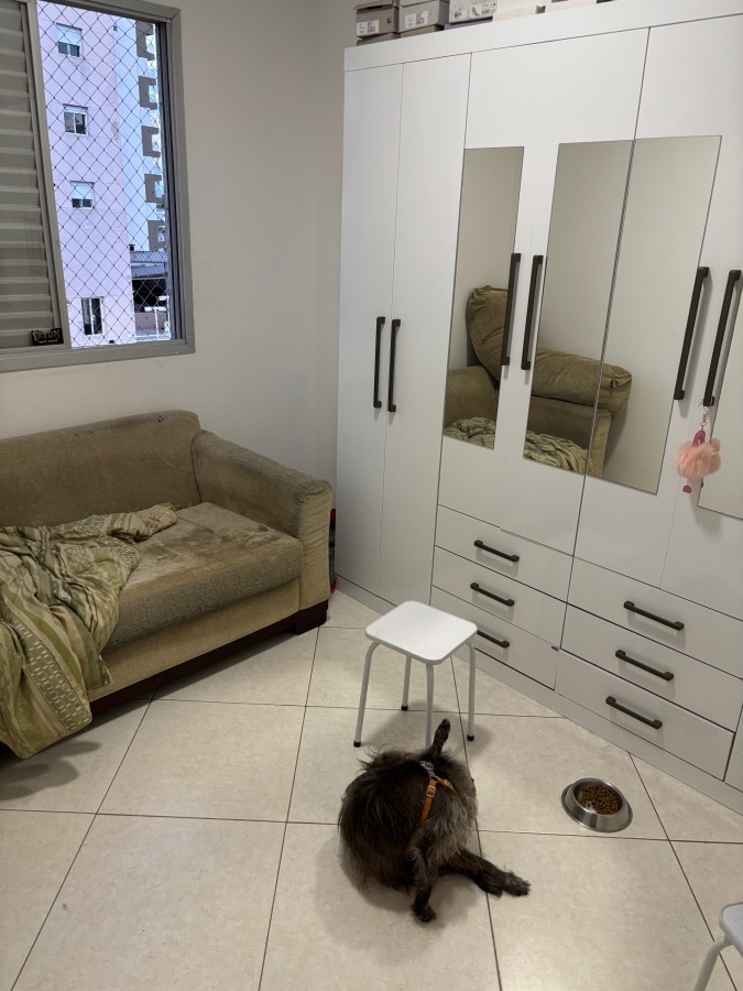 Apartamento, 2 quartos - Foto 8