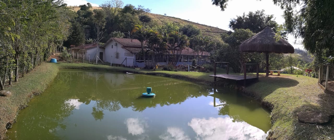 Chácara, 3 quartos, 2 hectares - Foto 37