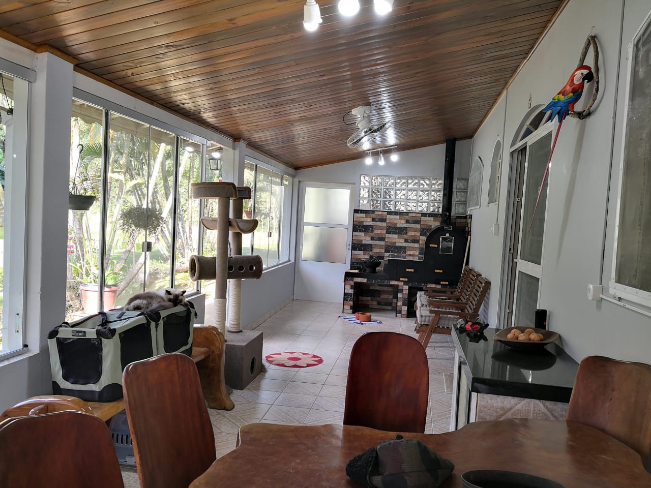 Chácara, 3 quartos, 2 hectares - Foto 13