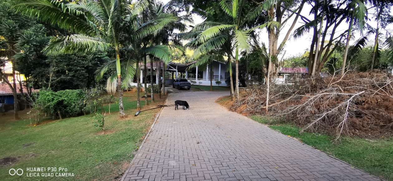 Chácara, 3 quartos, 2 hectares - Foto 26