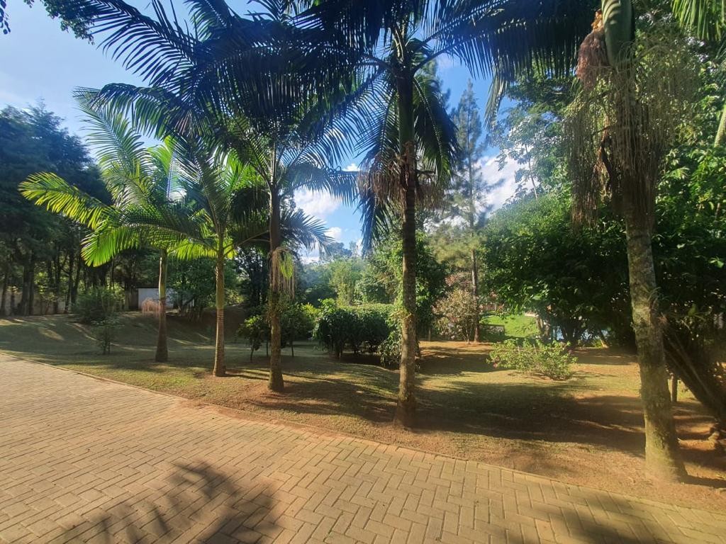 Chácara, 3 quartos, 2 hectares - Foto 39
