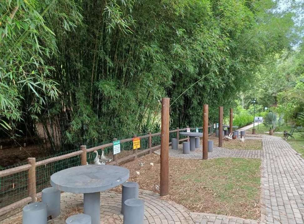 Terreno, 300 m² - Foto 6