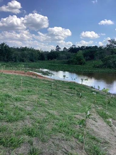 Terreno, 250 m² - Foto 2