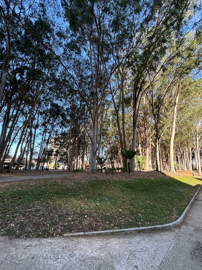 Apartamento, 4 quartos - Foto 44