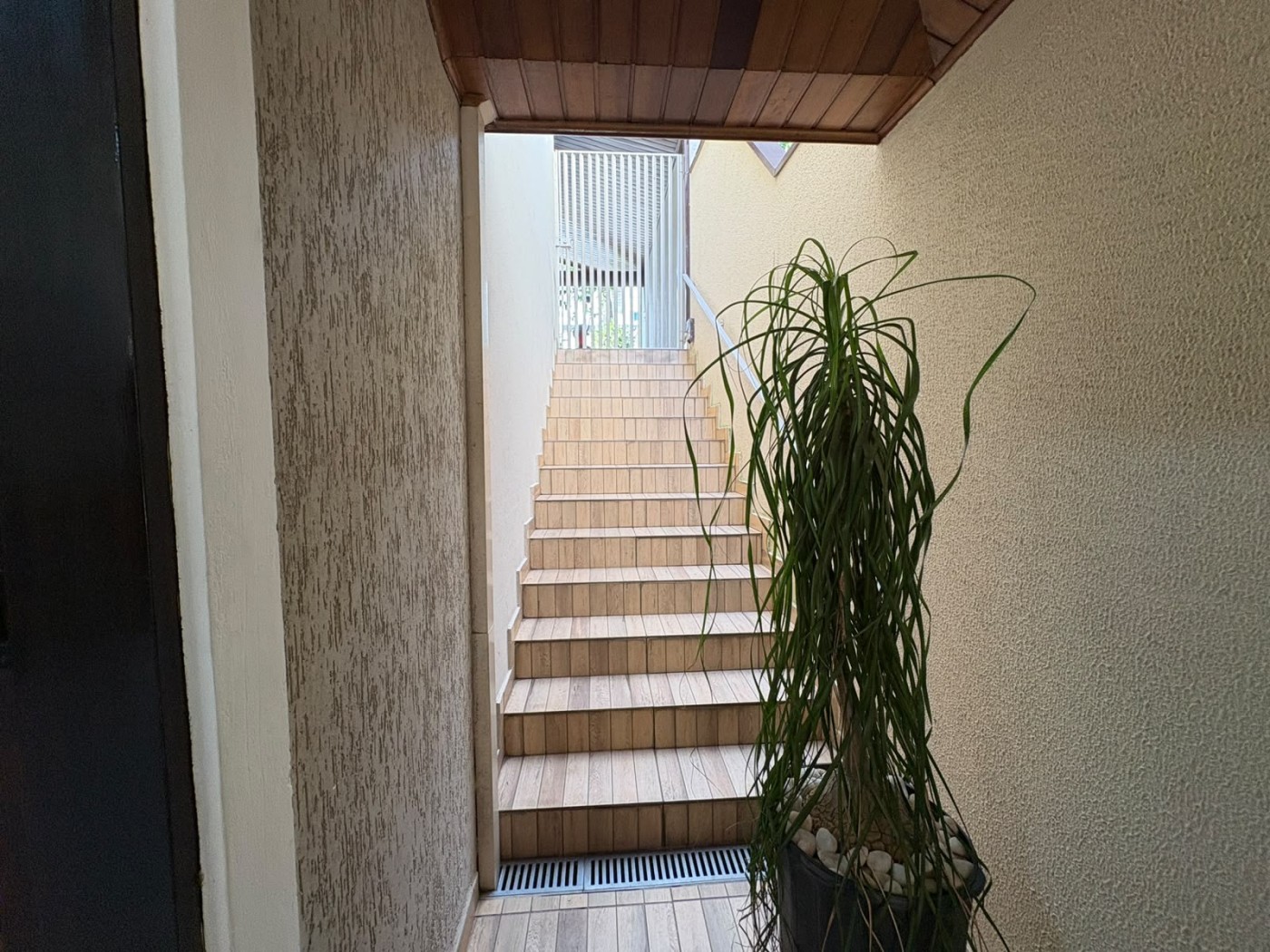 Casa, 4 quartos, 220 m² - Foto 19